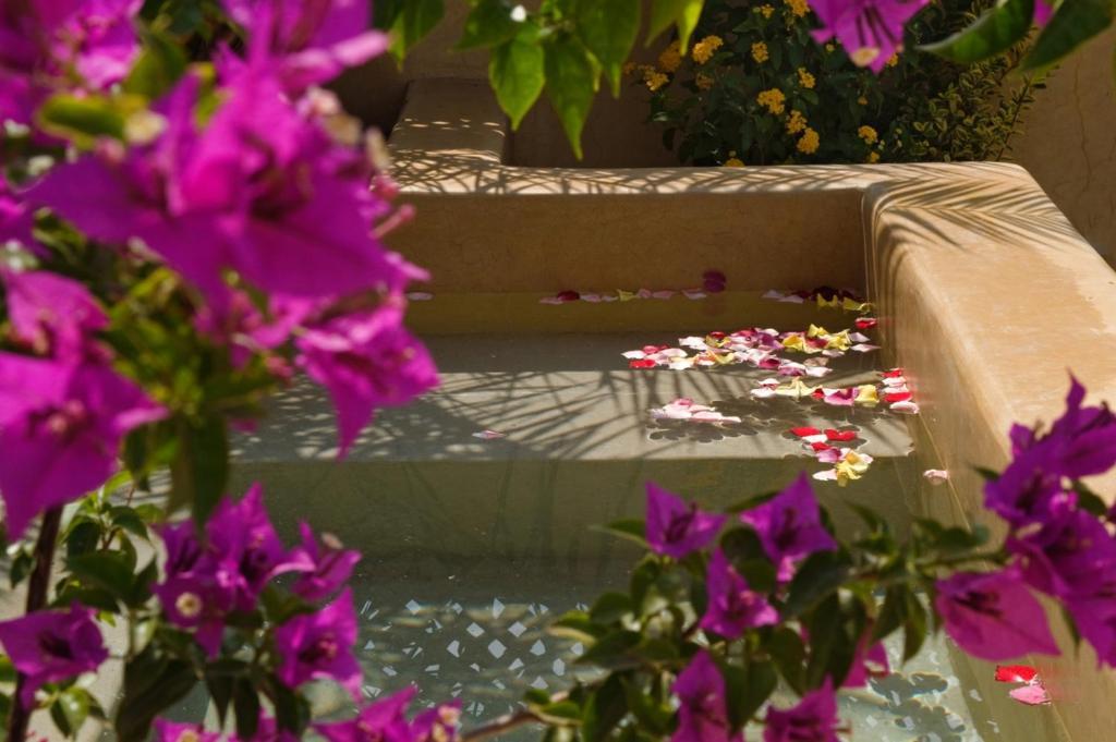 Cinnamon By Marrakech Riad Marrakesch
